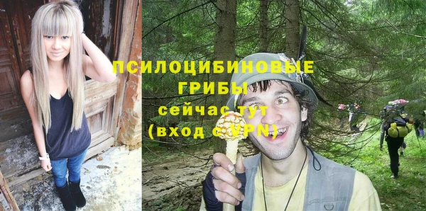 хмурый Абдулино