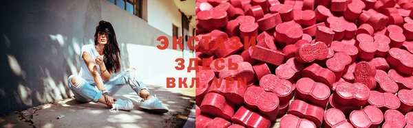 стаф Алзамай