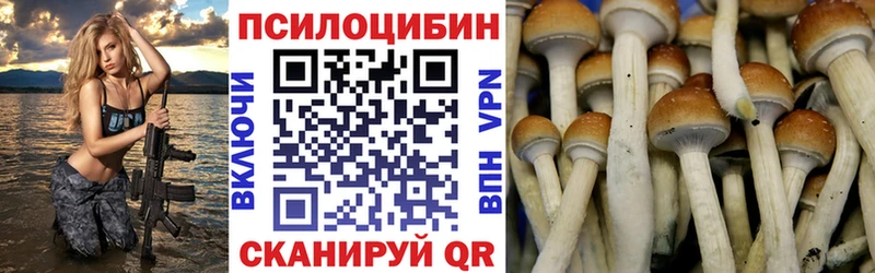 Псилоцибиновые грибы MAGIC MUSHROOMS мега tor Нижнекамск
