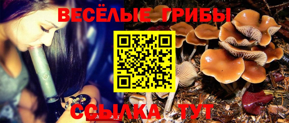 Галлюциногенные грибы мухоморы Нижнекамск