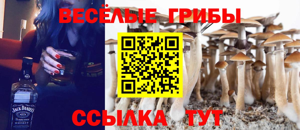 Нижнекамск  Галлюциногенные грибы мицелий  Псилоцибиновые грибы Psilocybine cubensis  Вход с VPN 